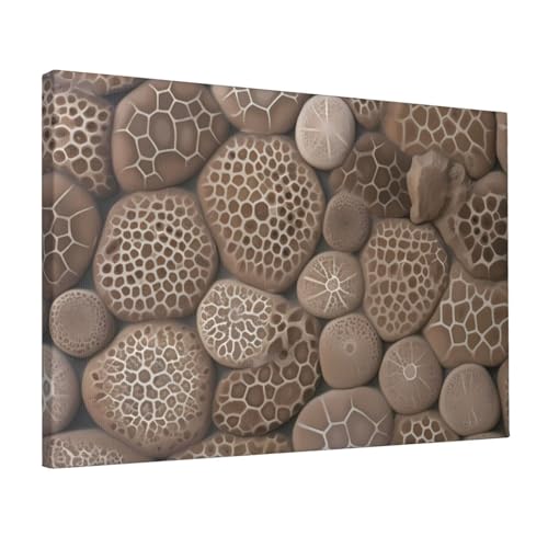 Petoskey Stone toile murale 30x45cm décoration chambre et salon moderne