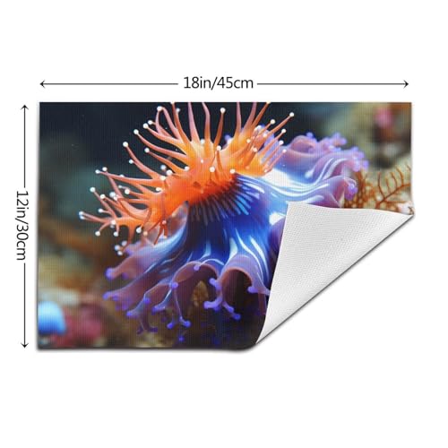 Sets de table thermorésistants et antidérapants en PVC lavable Nudibranche