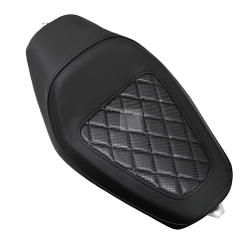 Asiento pasajero trasero para solucionar la falta de espacio en Sportster 48 4