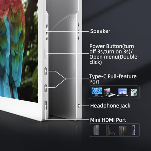 Image of Bigme B13 Portable Display Screen 13.3 Inch Color E-Ink Computer Screen for Laptop Screen Extender, Plug& Play, Color Display Extender with Touchscreen FHD 3200x2400 Display