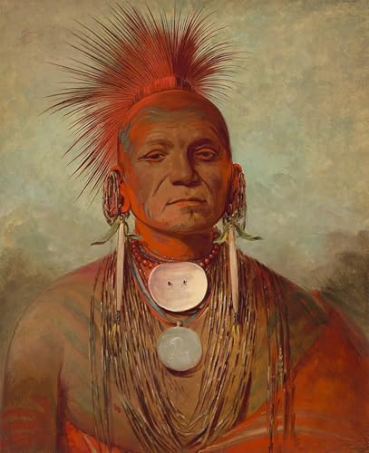 Impression sur toile un guérisseur de l'Iowa George Catlin 60x90cm