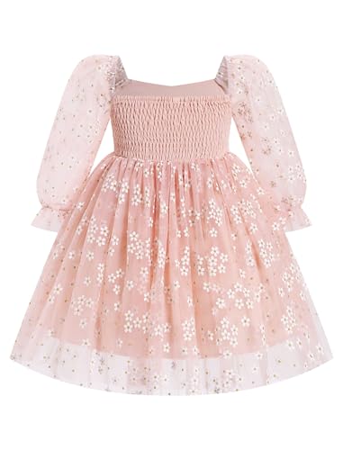 AWIBMK Kids Baby Girls Mesh Long Sleeve Birthday Princess Tulle Tutu Dress Square Neck Smocked Back Wedding Party Dress Pink Floral 5-6 Years2