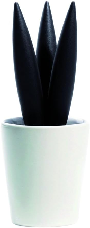 VinoLife Legnoart Spicy Cereus Trivet with Porcelain Bowl, Black