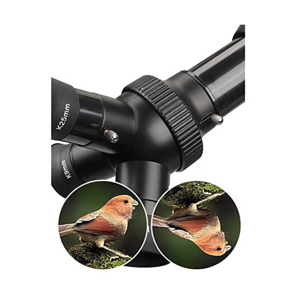 QHYTL Teleskop Astronomisches Teleskop Hohe Vergrößerung Außenteleskop Große Apertur Stargazing Monocular HD Geeignet… – Bild 5