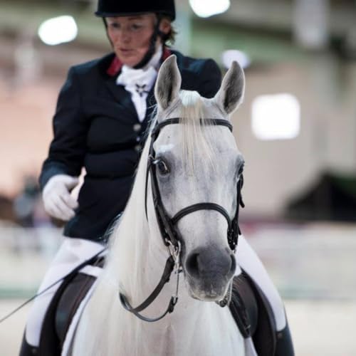 35 - Judgement Day in Equestrian Sports