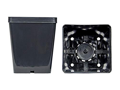 Jarrones cuadrados negros 12x12x14 cm (n.270 piezas), empresa Arca