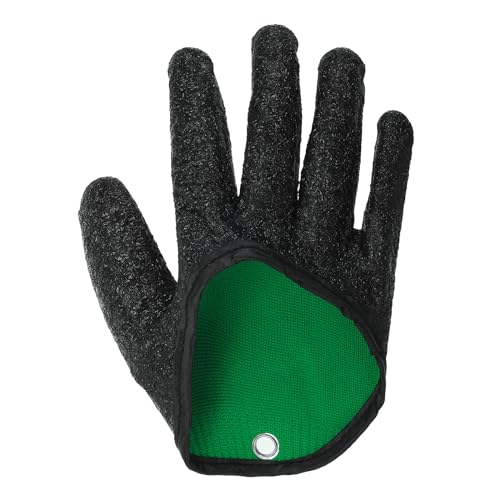 PATIKIL jptBbVOO[u v ނl ~ߑώhhtB iEj