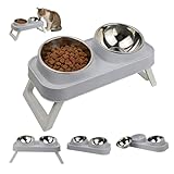 Cat Bowl, Stainless Steel Tilted Cat Bowl with Non-Slip Base, 15° Raised Pet Bowl for Whisker Relief, Anti-Vomit & Neck Support - Ideal for Cats, Small Dogs (Grey) (Double Bowl)