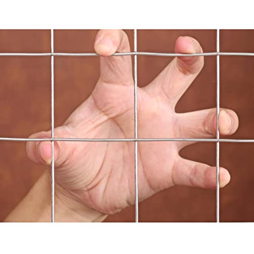 Rollo de malla de alambre soldado de acero inoxidable para jardín, pajarera, malla de tela para evitar intrusiones, 1,9 mm de diámetro, 50 x 50 mm, tamaño de malla de 1,5 x 1 m de longitud