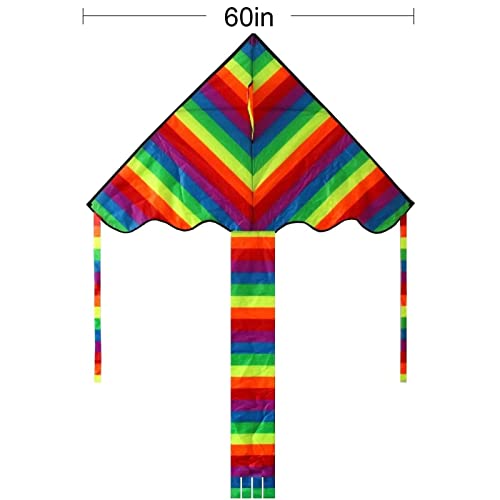 Hengda Kite Rainbow Delta Kite, 60-Inch - Kites For Kids - Best Easy Flyer,Easy To Assemble, Launch And Fly #TOP1