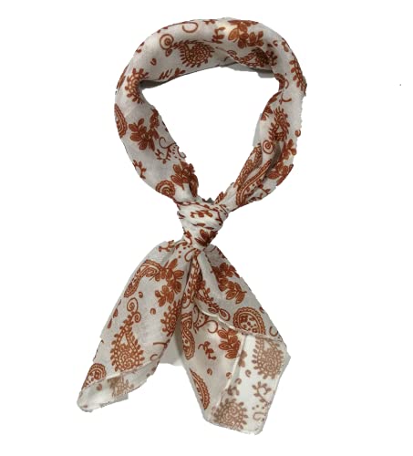 Shanlin Unisex Cotton Bandanas 22"X22" (Paisley-White) #TOP1