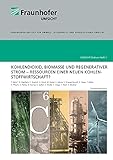 kohlendioxid melder testsieger  Kohlendioxid, Biomasse und regenerativer Strom - Ressourcen einer neuen Kohlenstoffwirtschaft (Umsicht-Diskurs)