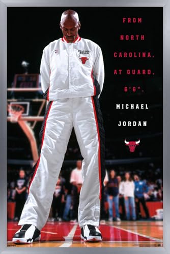 Michael Jordan - Chicago Bulls Introduction Wall Poster, 22.4L" x 14.7W", Silver Framed Version