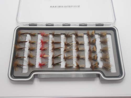 Sedge Trout Flies, 40 boxed set, popular patterns, Fly Fishing, Sedge Fly, NBX24