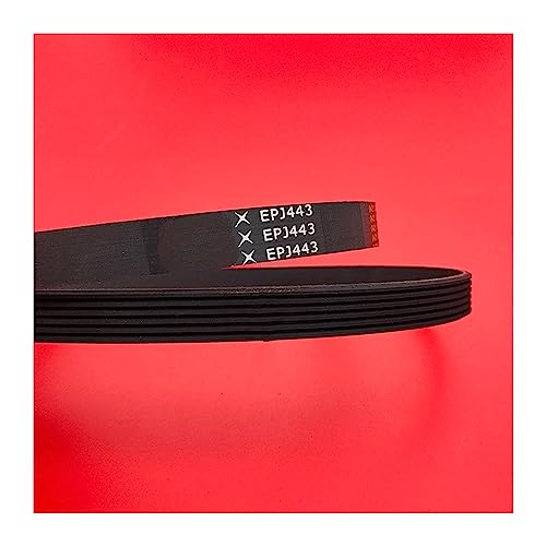 Courroie pour tapis roulant fitness EPJ443 en caoutchouc multi rainure pour entraînement