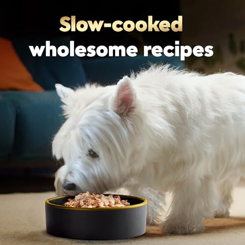 Image of Cesar Wholesome Bowls Wet Dog Food, Beef & Purple Potatoes, 3 oz, 10 Count | Real beef #1 ingredient, slow-cooked, no by-products or artificial flavors, 10 key ingredients, easy to digest