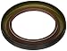 Victor Reinz 67753 Engine Camshaft Seal