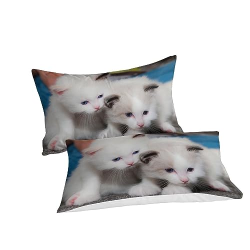 Parure de lit chat impression 3D réaliste avec housse de couette zippée - 4