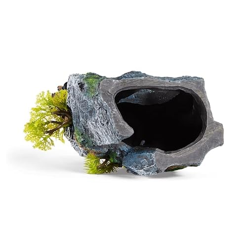 imagitarium House on Rock Small/Medium