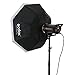 Godox Octagon Softbox 37 inch/95cm Photography Light Diffuser and Modifier with Bowens Speedring Mount for Monolight Photo Studio Strobe Lighting
