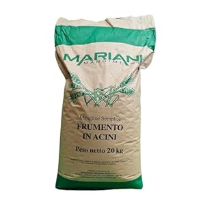 Grano Tenero per Polli e Galline NO...