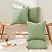 Topfinel Decorative Sage Green Throw Pillow Covers Cushion Cases, Set of 4 Soft Velvet Modern Double-Sided Designs Match for Home Decor, Pillow Inserts Not Included (18x18 inch)