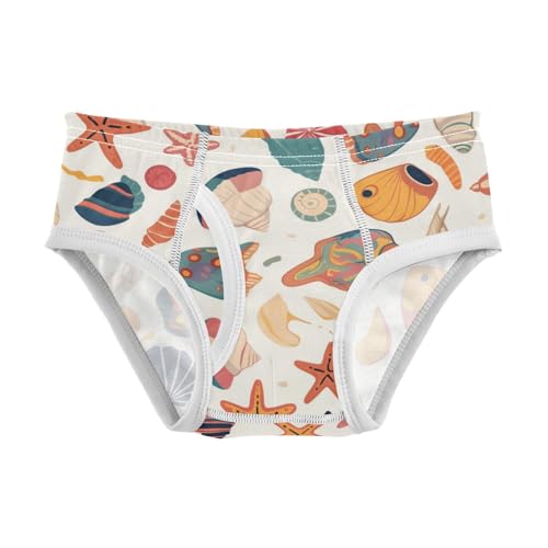 KLL Seashells Different Shapes and Starfish Toddler Boys Pure Cotton Nighttime Underwear Cute Undies