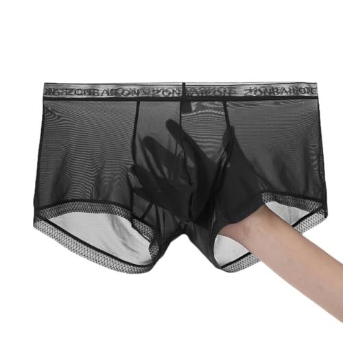 JINSHI Ice Silk Mens Sexy Underwear For Straight Men See Through Boxers Ultra Thin Sheer Trunk Bulge Pouch Boxer Briefs