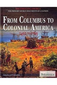 Library Binding Documenting America: The Primary Source Documents of a Nation: Set 1 Book