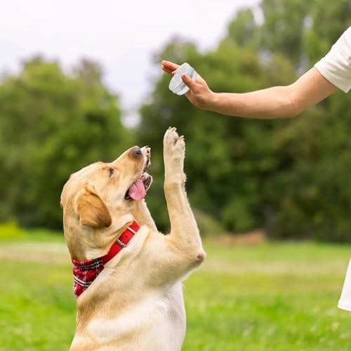 Alriedy Hundeduftboxen 10er Pack Hundeduft-Trainingsbox Fährtenarbeit Hundetraining Zubehör, Box Zubehör Training, Bodentarget Hund, Metallbehälter Mit Punkten, Agility-Trainingsgeräte.