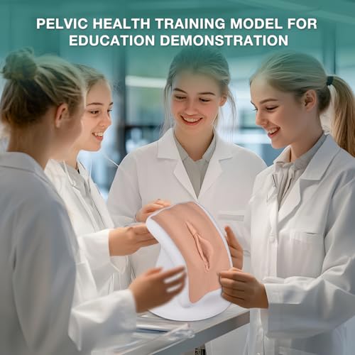 Image of Pelvic Health Model, Gynecological Examination Vulva Anatomical Model for Demonstration, Vaginal Training Model for Science Education