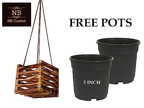 NB Crafted Burn Black Pine Wood 6 Inch Superior Hanging Plants, Flower Pot, Gamle Holder Stand Used for Indoor and Outdoor, Gardening, Balcony, Home Decore Size – Free Pot (Pack of 2)