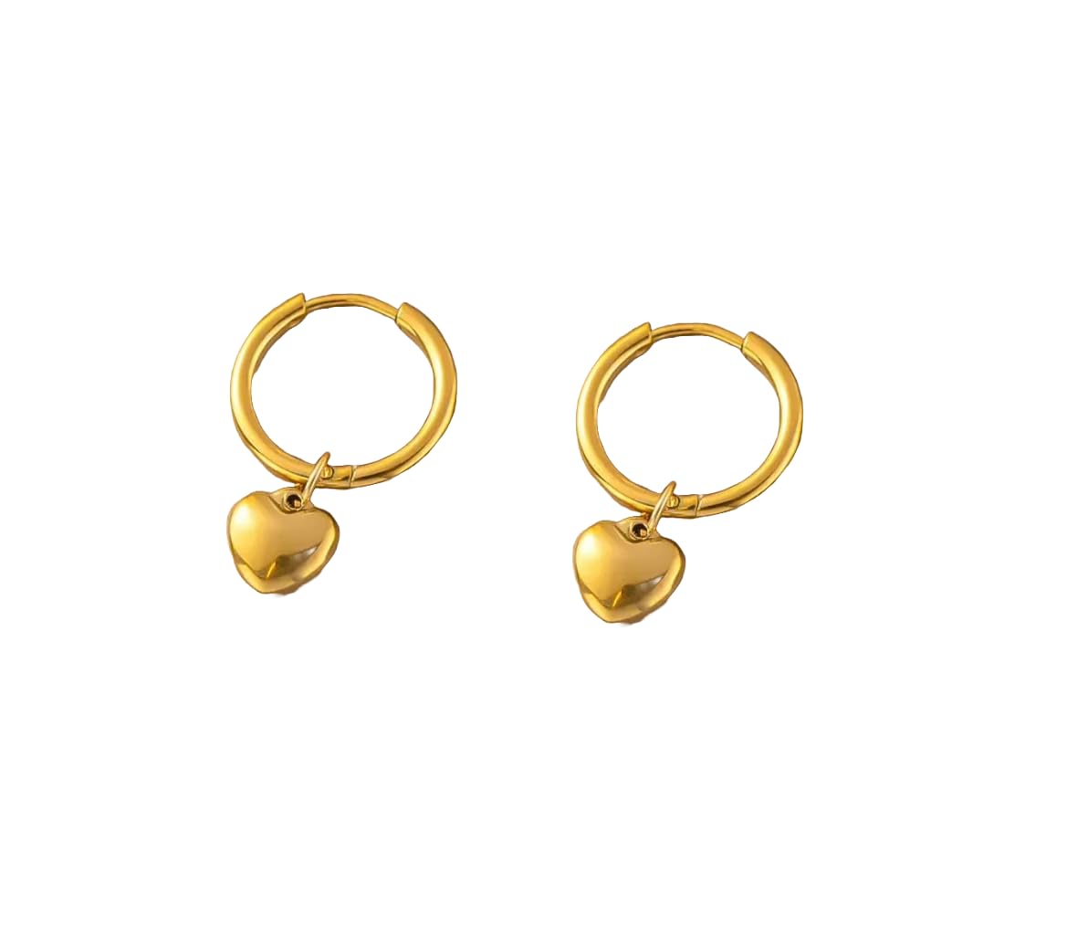 Purple Secret Golden Heart Drop Hoop Earring For Women, Cute Huggie Earrings (1 Pair), Perfect for Everyday Wear, Birthday Gifts For Women, Gift For Sister, Gift For girlfriend (B0D7VLNXM2) Amazon Price History, Amazon Price Tracker