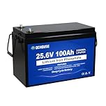DCHOUSE 24V 100AH LiFePO4 Lithium Leisure Battey, Low Temp Cut-Off BMS, Up to 15000 Cycles, Perfect for Trolling Motors, Marine, Boat, RV, Camper, Home Energy Storage, Solar System