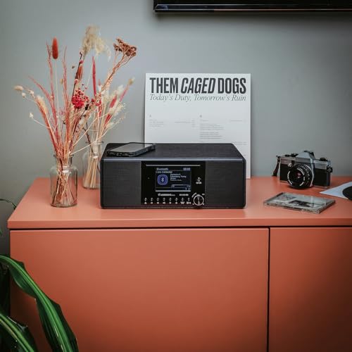 Albrecht DR 895 CD Kompaktanlage, DAB+/UKW/Internet/CD, 27895, Schwarz, mit 4" Farbdisplay, Stereo Musik und Podcast Streaming,USB, App Steuerung – Bild 6