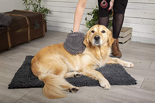 Gant de nouilles gris Scruffs microfibre absorbante pour chien et chat