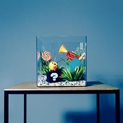 Paradise / �J���m�A