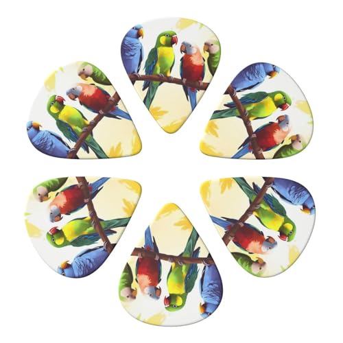 �M�^�[�s�b�N �s�b�N6�p�b�N �I�[�K�i�C�U�[���[�{�b�N�X�t�� �J���t���ȃI�E�� �؂̃x�[�X�s�b�N �G���L�E�N�����s�b�N�p �A�R�[�X�e�B�b�N�M�^�[�p 0.46mm