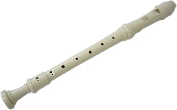 Amazon.com: YAMAHA ABS plastic Alto Recorder Baroque YRA-28BIII