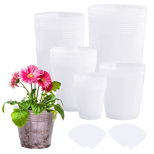 100Pcs Plant Nursery Pots Clear Plastic Pot 5/4.5/4 /3.5/2.5 Inch Seed Starting Pot with 100Pcs Plant Labels Planting Containers with Drainage Hole for Seedlings Flower Vegetable