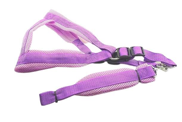 RvPaws Soft Padded Anti-Slip Handle Dog Leash with Harness Set Large Dog Harness with Soft Handle Rope Leash (Color May Vary) (B0BFQ361QZ) Amazon Price History, Amazon Price Tracker
