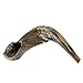 Judaica Mega Mall Shofar BB (8415358146)