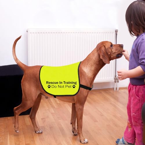 CENWA Rescue In Training Do Not Pet Dog Jacket Vest Nervous Anxious Training Dog Slogan Warning Vest (In Training Rescue M EU) - Image 4