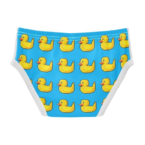 Cute Duck Toddler Boy's Underwear 2T 202c18432