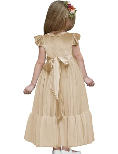 Toddler Velvet Ruffle Sleeve Dress Flower Girl Dress for Evening Party Holiday Dress T052