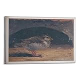 xiaoxiaoshen Picasso Bird La Coruna-1895, Póster de Lienzo Fino Arte de Pared Impresiones - Cuadros de Pared para Dormitorio y Salón 30 x 45 cm