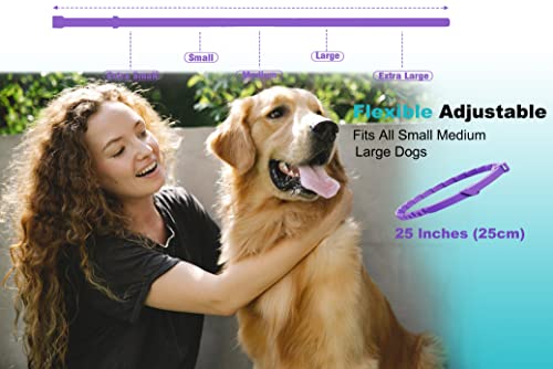 Mybosspet Calming Collar For Dogs 4 Pack - Dog Calming Collar, Pheromone Collar For Dogs Anxiety 60 Days - Anxiety Relief For Dogs, Calming Collar Dog 25 Inches Size, Breakaway Dog Collar #TOP5