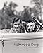 Hollywood Dogs: Pictures from the John Kobal Foundation