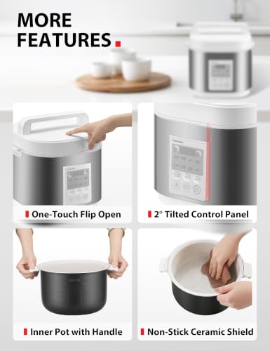 TOSHIBA 10-Cup Uncooked Digital Rice Cooker (Heritage Bento Box) - image 5