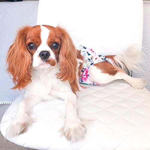 CuteBone Dog Diapers Female XS 3 Pack Reusable Puppy Period Diapers for Heat Cycle D14XS - Image 6